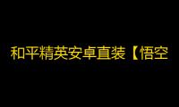 和平精英安卓直装【悟空直装】辅助