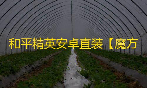 和平精英安卓直装【魔方直装】辅助
